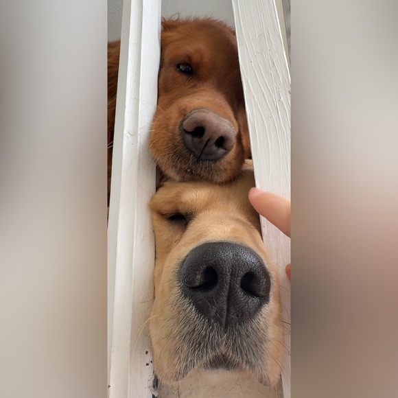 RACHEL IS LIVE 🩷🩷🩷🩷 - Picture 6 of 7